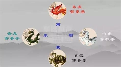 房子左青龍|左青龍右白虎：一招教你學會風水中的“四靈山訣”